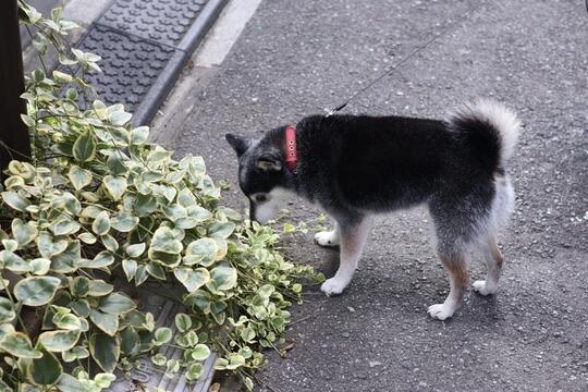 42DA21F8-8125-44A8-B651-3DA42585176A_4_5005_c