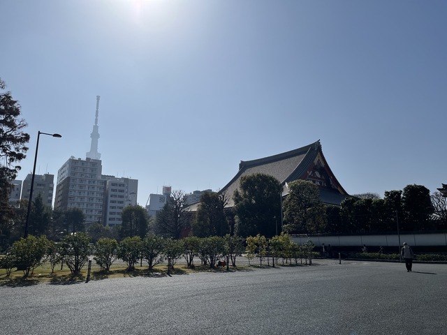 3D171671-F1A0-45D5-A83C-33DD17300E78_1_105_c