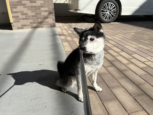 46723FEA-619D-4518-A4A0-1F3F746EA70C_1_105_c