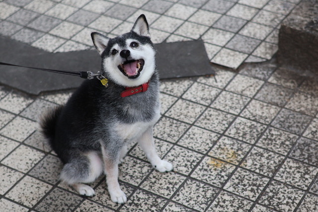 冬日の納豆ランチと味噌チャーシューメン