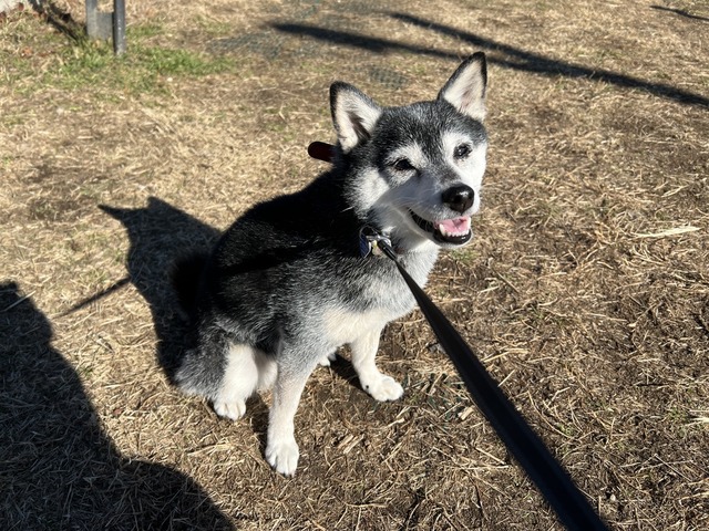 30A0D893-0920-44A8-8607-5ED471706ED8_1_105_c