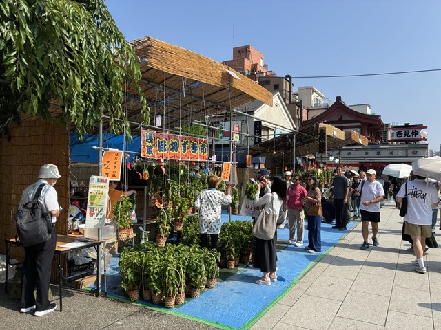 843367CB-94AC-4530-998D-0677E686DA7C_1_105_c