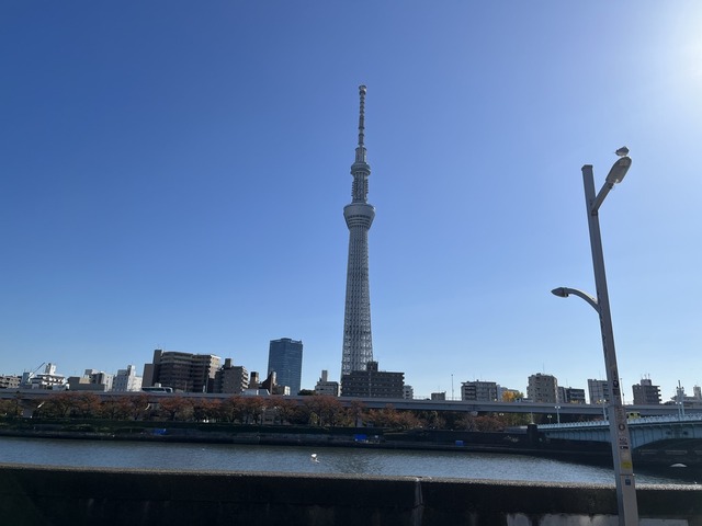 5131507E-5058-460C-9A77-FEB844D5FEFA_1_105_c