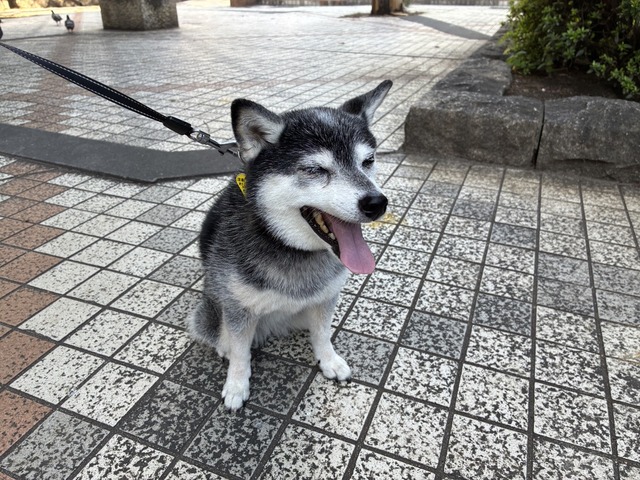 B8C2FB5C-91CA-4D66-A982-F245FE80235C_1_105_c