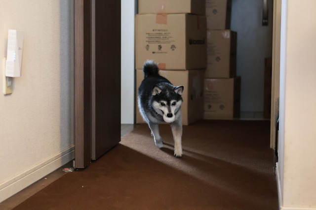 90D0A7C0-C860-4D3E-AF6F-B8FCF4ECF8BB