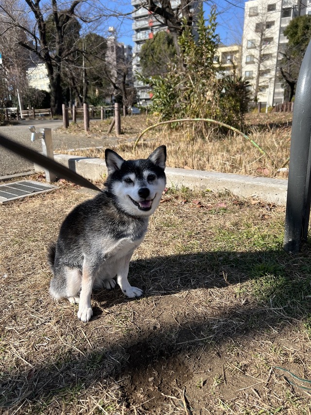 CC3FF484-2C80-4C2D-B9EF-8D297AE4B425_1_105_c