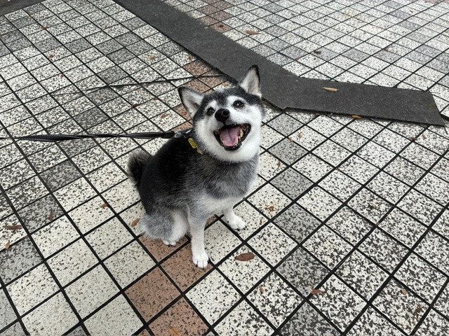 5D2B9735-65EA-4ACD-A186-739D68B0C836_1_105_c