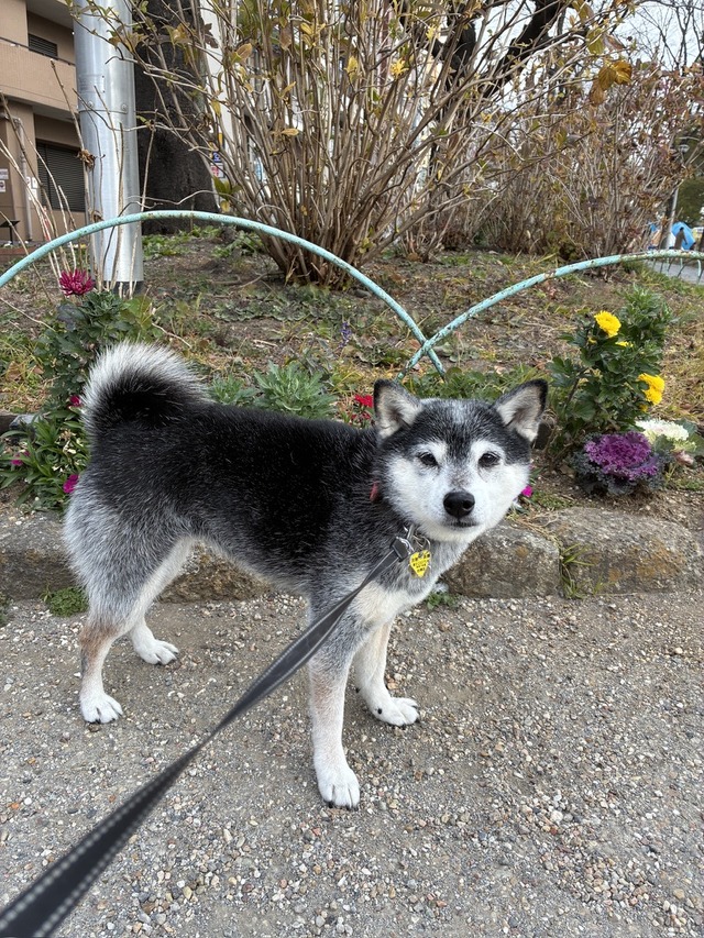 EFA82DB6-931D-4BEE-8BE2-60316D5382ED_1_105_c