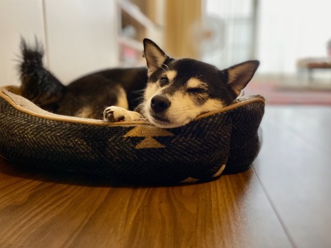 1E3636DE-116A-4BBC-AEC9-3E88B2BE8ABF_1_105_c