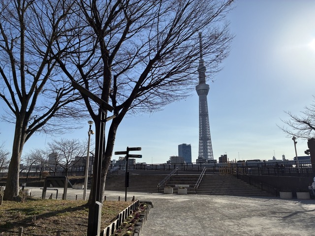 45C0D5E0-4FD8-45F2-93B4-CE7D869D8843_1_105_c