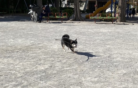 523C2D0E-77A5-4B3E-9A24-3D915E7A0CC9