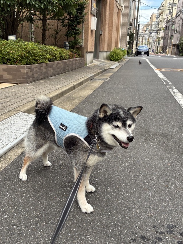 B3E66D11-96E5-4DEB-8FA5-81E4C1E4FAEB_1_105_c