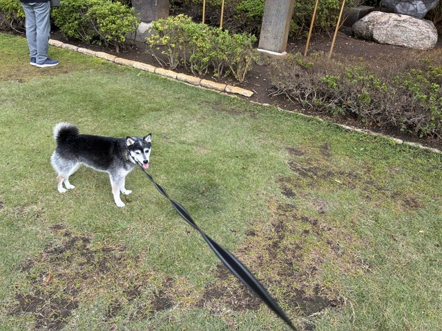 EAEF0117-0DDC-476B-B8C9-964C2FB16261_1_105_c