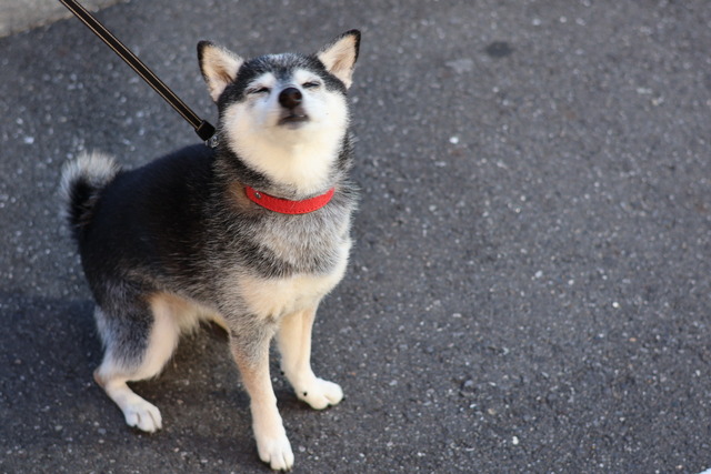 0B9682B2-CE6A-42E1-B349-E888E603DDC2