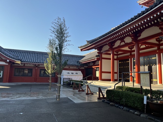 8ED6F290-B9C7-4C3D-A610-3BCCF46FC0AA_1_105_c