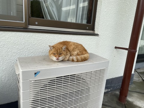 5DF3B89D-29AD-4E09-BFBF-D74BEEFE2525