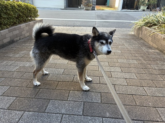 05B34702-A0BC-4BDA-91DF-9FAB1C830AE3_1_105_c