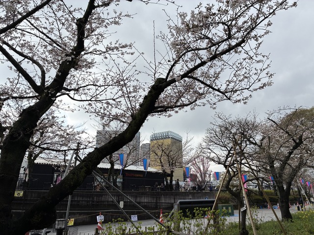FFF787B5-1A61-442C-AEAC-EE198E2B8E29_1_105_c