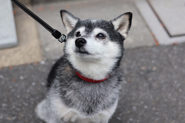 DCBFA5B3-5089-4E28-A414-4E55AD928BF6_1_105_c