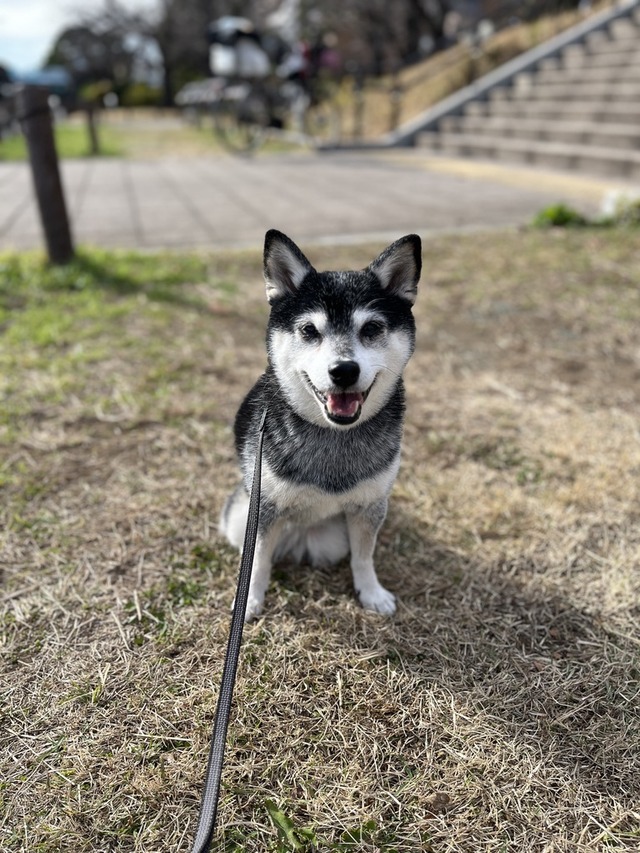 BE14E172-E472-40CE-8F24-FCA4E0E35E1C_1_105_c