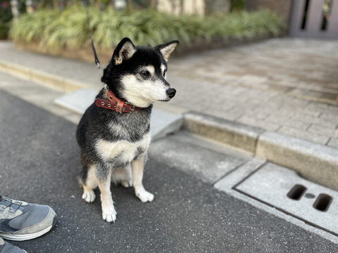 E297F92F-AC8D-46C0-9B80-36ED9F936365_1_105_c