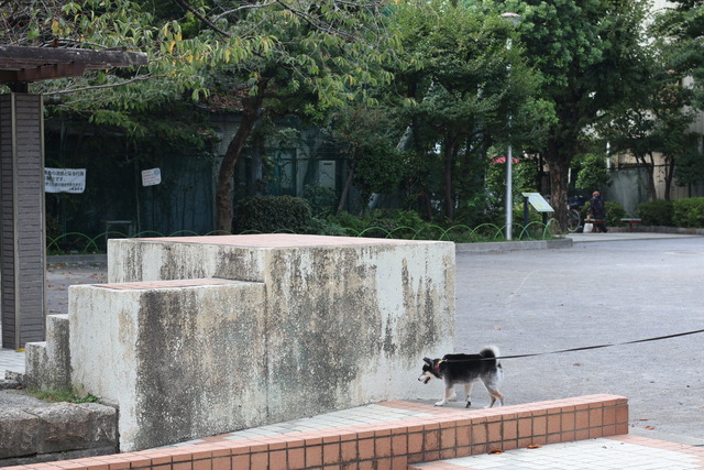 20ABC1EB-46FC-4612-A9E0-F780F4DEE8E1