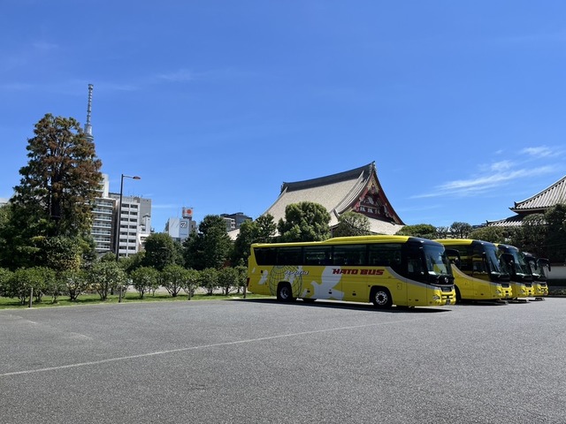 E562EF76-2865-42BA-B669-6D852FB65A0B_1_105_c