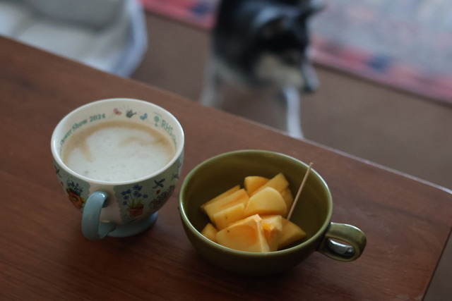 3EF2B9D0-DC9A-49D6-8930-A4C07DBAEE84_1_105_c