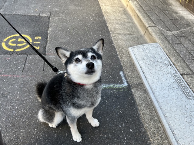 413823E8-F0D7-4BEA-8002-CE2A4C28A117_1_105_c