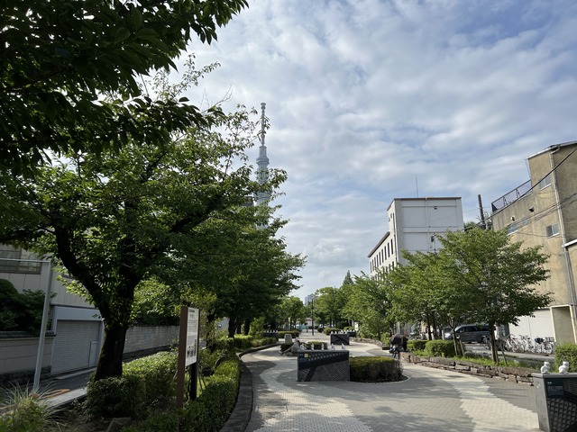 IMG_9562