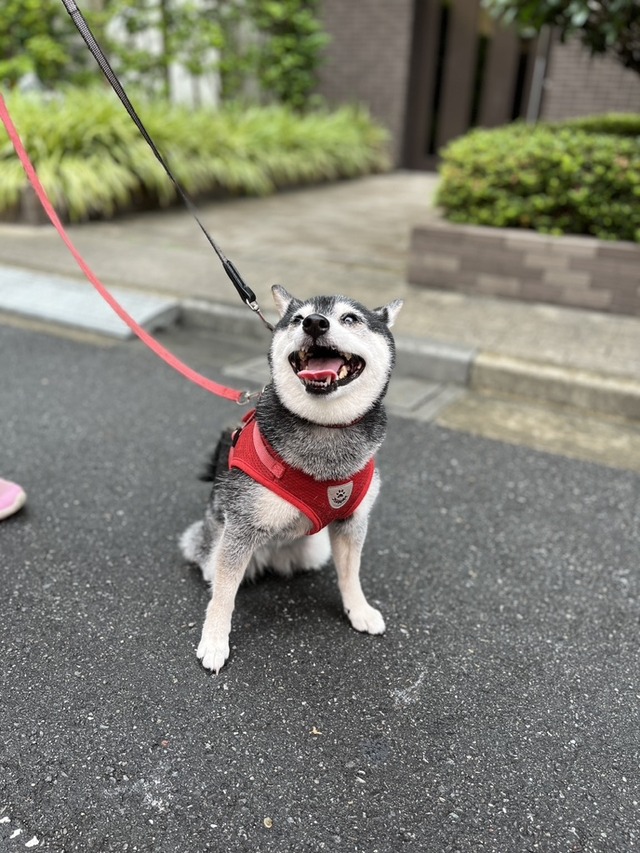 F8E6988C-1185-45C0-ABB5-4D889A9C03C3_1_105_c