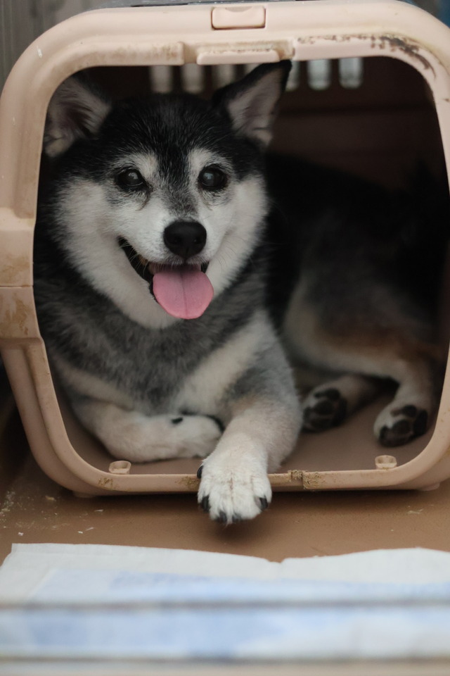 BC8DD718-88D4-4226-9848-E66B0C887F92