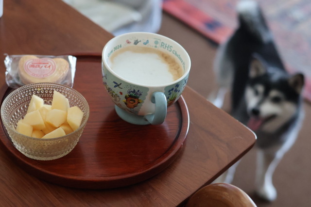 B4FCA8FD-AA3A-4892-8D26-648F11D148CF_1_105_c