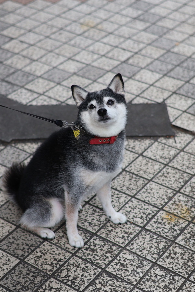 34B2BD04-505E-49CB-B041-CB5053070DFE_1_105_c