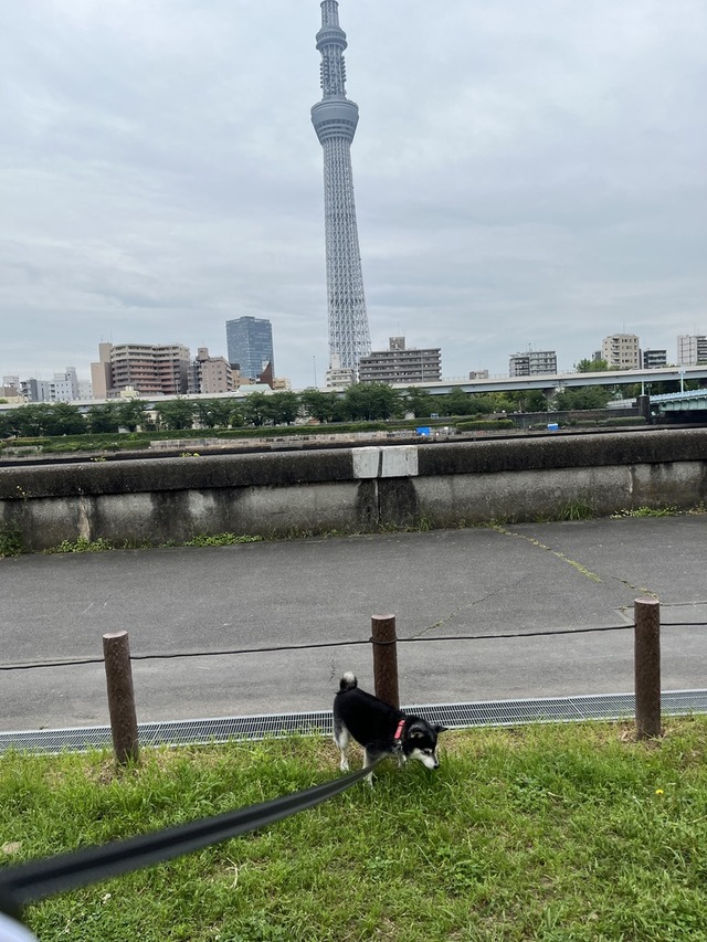 1E1B6A52-5C90-4987-A0D5-EE3607D59832_1_105_c