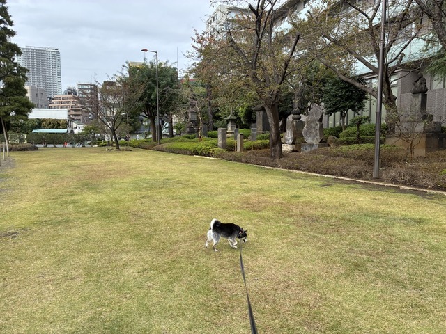 A1CE2735-94AB-45F3-B646-AE81B6B68F44_1_105_c