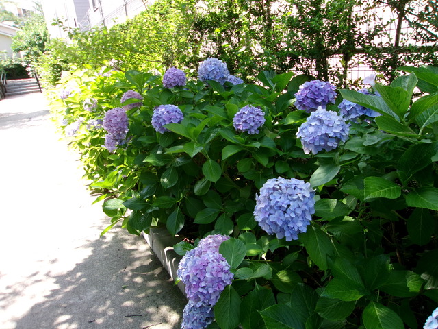 5AEFF81B-0BA8-482B-A66D-D8A4930DDE1F