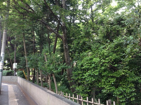 新緑の有栖川公園と上野駅の停電と餃子浪漫