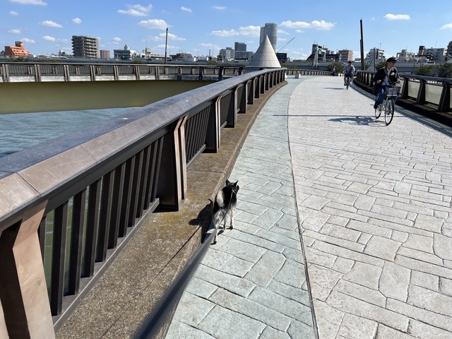 5BB4F372-2A32-496B-9646-C711A7DA3C48_1_105_c