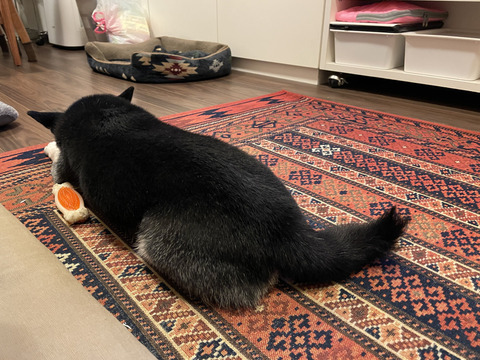 2A11A9C1-28D6-4C96-AD02-FF1E9E15BBC5_1_105_c