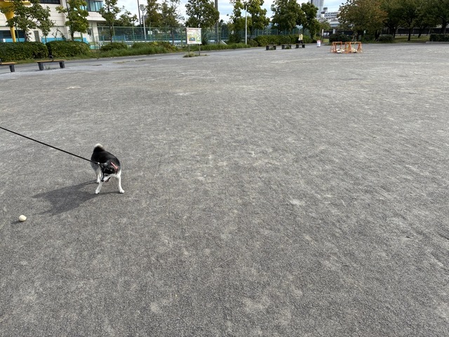 A584370E-8622-41D1-8677-AE943030FA1F_1_105_c