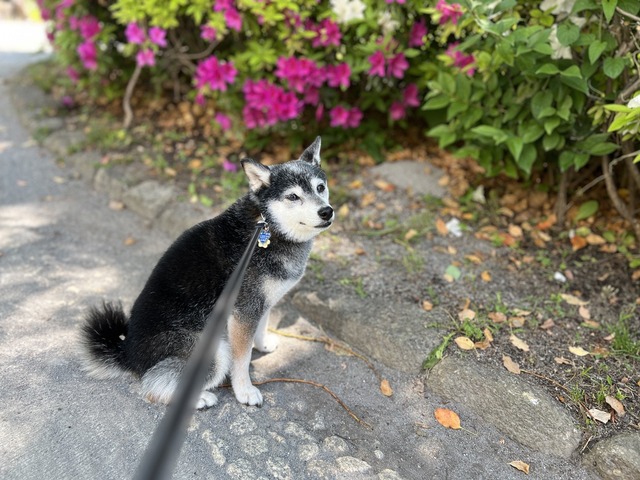 46C084F5-9541-4FB9-AEC3-F9BC28F989F5_1_105_c