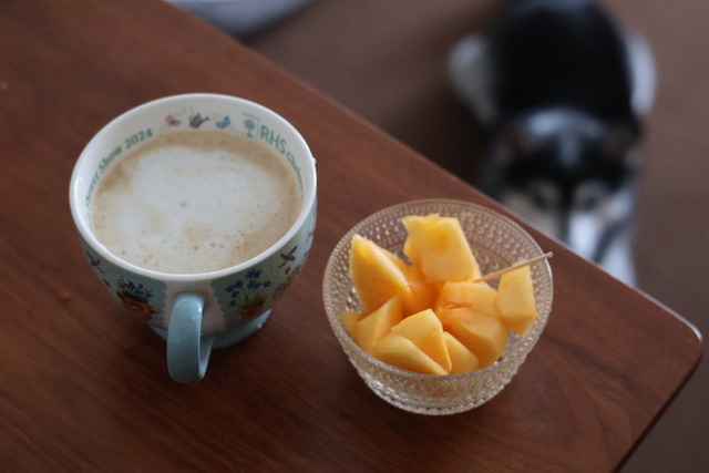 F3A713AA-F1D0-46F7-BAEB-F2A074EE37EC_1_105_c