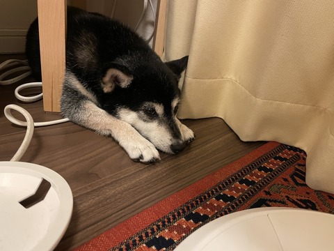 曇天の松屋牛めしランチと鮭マスタード