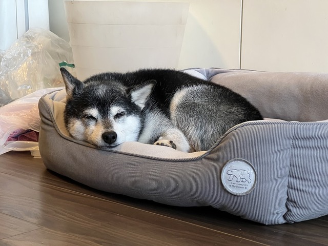 1588D77F-307B-4AC0-AD02-5810F9198368_1_105_c