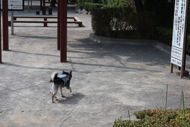 EFFEC427-4684-4372-88A4-AF59671D206A_1_105_c