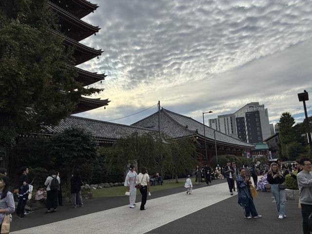 379DA0EC-0B69-47F4-B369-356A6D393EDC_1_105_c