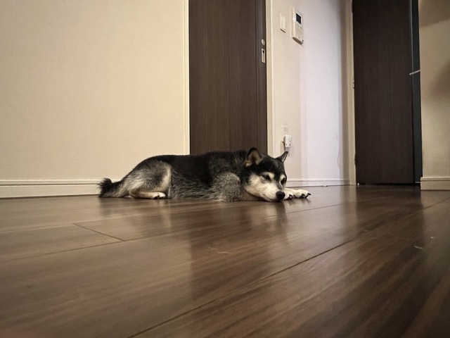 B59930E1-DE70-45D8-94DC-F04B7DD1EFDB_1_105_c