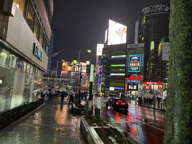 69856C37-21EF-4A09-84CB-330DD2F09D66_1_102_o
