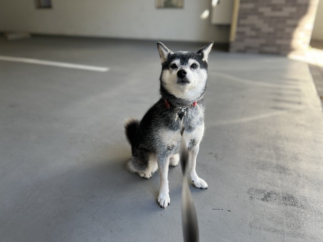 C855DDCE-48E8-47CD-ACC7-980DECE38606_1_105_c